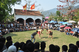 Hội vật nổi tiếng nhất Vĩnh Phúc có thể bị huỷ vì virus corona